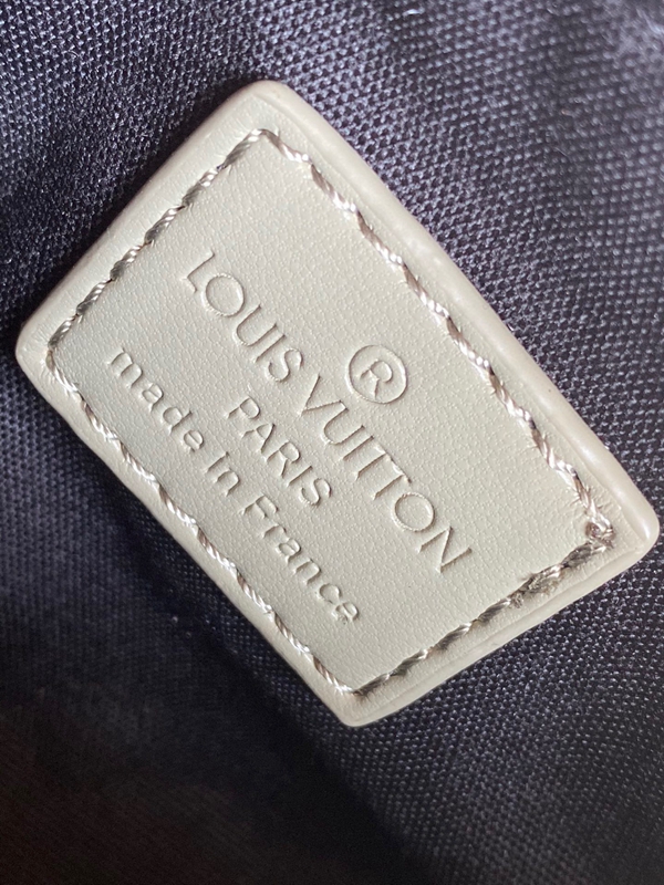 ルイヴィトンバッグ着用イメージ